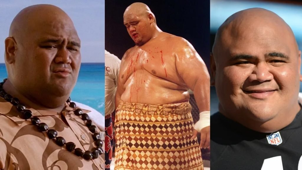 Taylor Wily Sumo Wrestling Career